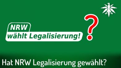 Hat NRW Legalisierung gewählt? | DHV-Video-News #339