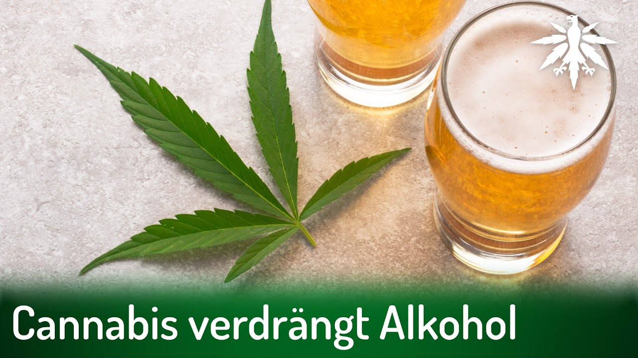Cannabis verdrängt Alkohol | DHV-Video-News #342