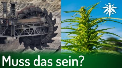 Schwarz-Grün in NRW? | DHV-Video-News #340