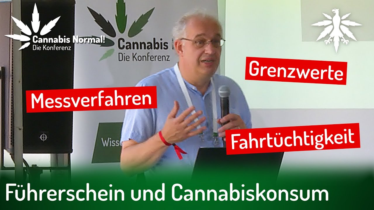 CaNoKo22: Führerschein und Cannabiskonsum (Video)