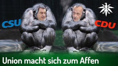 Union macht sich zum Affen | DHV-Video-News #356