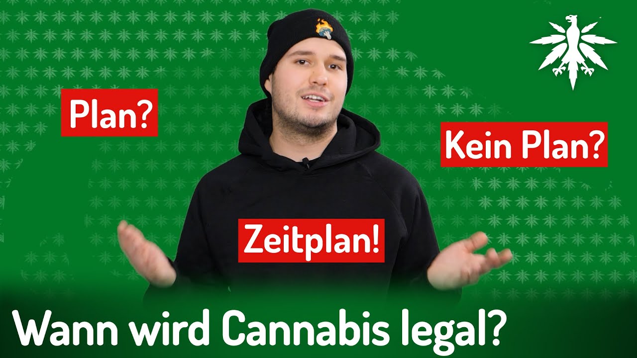 Der Legalisierungs-Zeitplan 2023 | DHV-Update