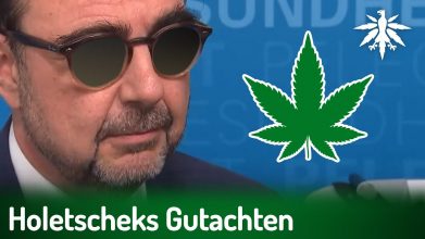 Holetscheks Gutachten gegen Legalisierung | DHV-Video-News #371