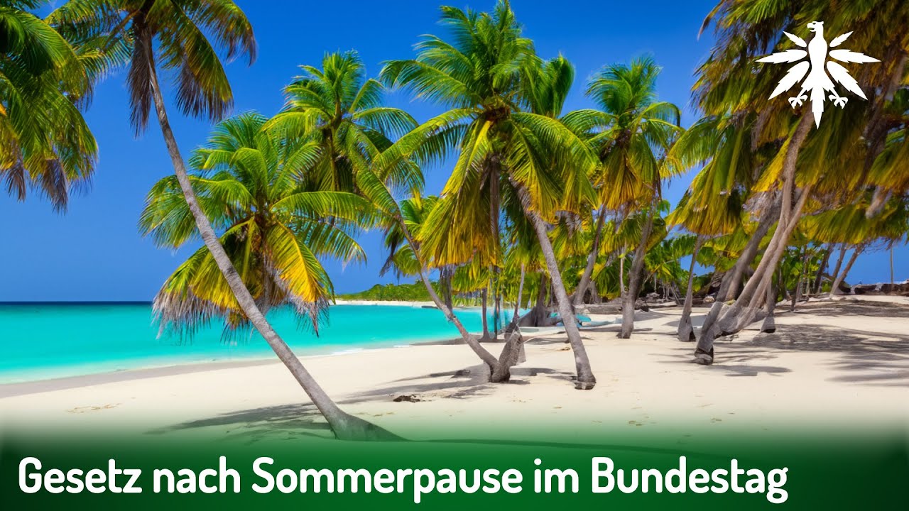 Gesetz nach Sommerpause im Bundestag | DHV-Video-News #382