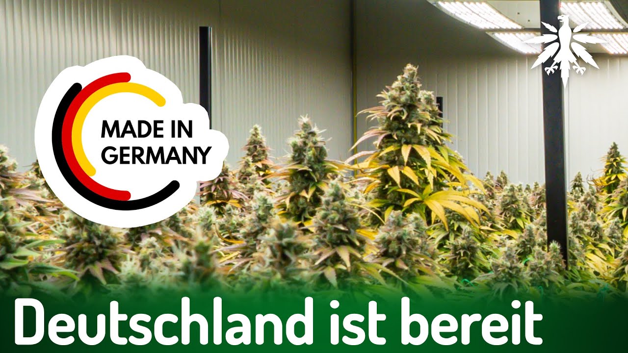 Deutschland ist bereit | DHV-Video-News #392