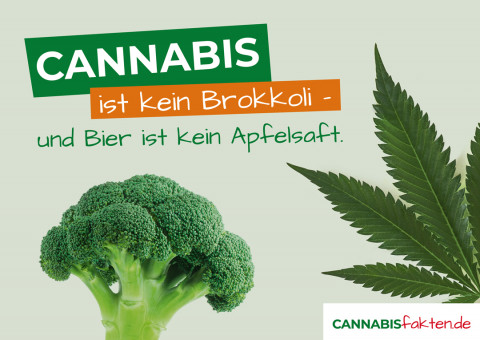 Anzeigenbild Cannabis ist keine Brokkoli und Bier ist keine Apfelsaft.