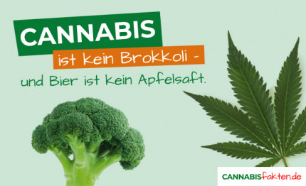 Anzeigenbild Cannabis ist keine Brokkoli und Bier ist keine Apfelsaft.