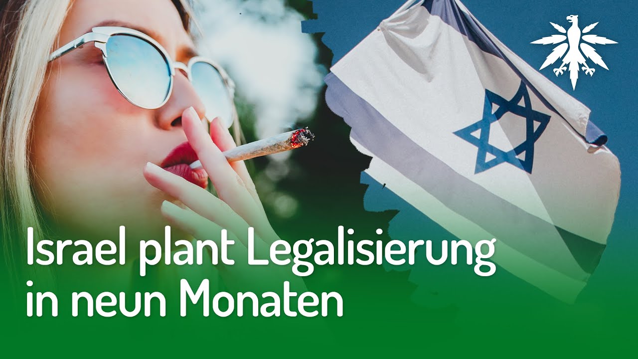 Israel plant Legalisierung in neun Monaten | DHV-Video-News #271