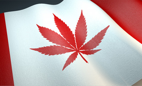 Flagge von Kanada mit Hanfblatt.