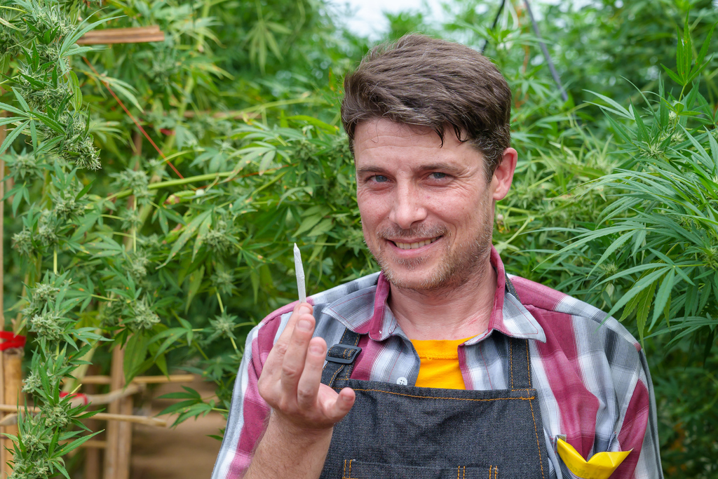 Ein lächelnder Mann steht inmitten einer Cannabisplantage und hält einen Joint in seiner Hand.