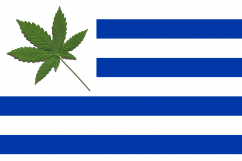 Flagge Uruguays mit Hanfblatt.