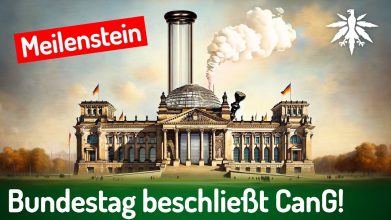 Meilenstein: Bundestag beschließt CanG! | DHV-Video-News #411