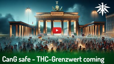 CanG safe – THC-Grenzwert coming | DHV-Video-News #415