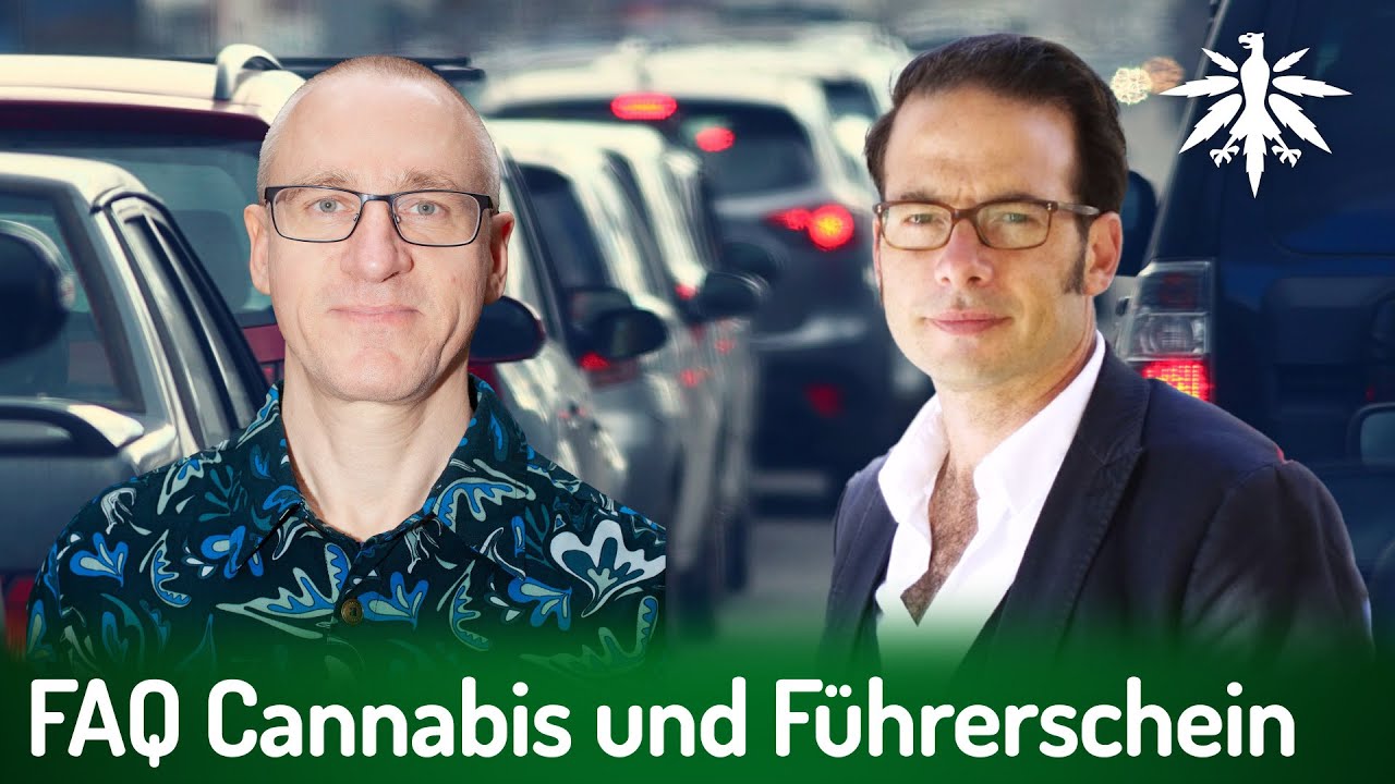 FAQ Cannabis und Führerschein – unser Interview mit Oliver Rabbat