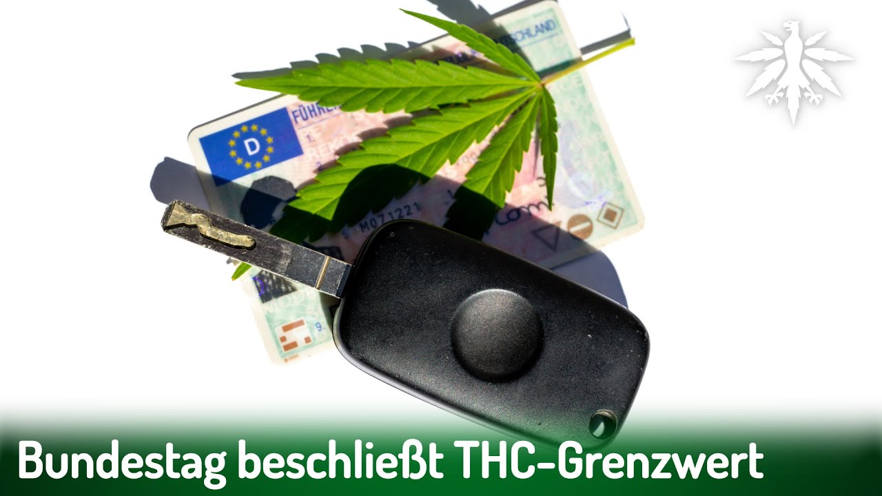 Bundestag beschließt THC-Grenzwert | DHV-News #423