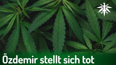 Özdemir stellt sich tot | DHV-News # 440