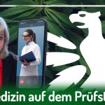 Deutscher Hanfverband News Deutscher Hanfverband News