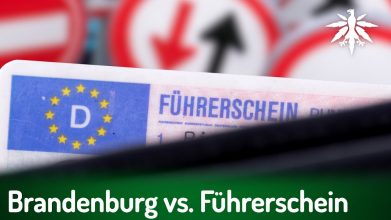 Bundesrat: Brandenburg vs. Führerschein | DHV-News # 478