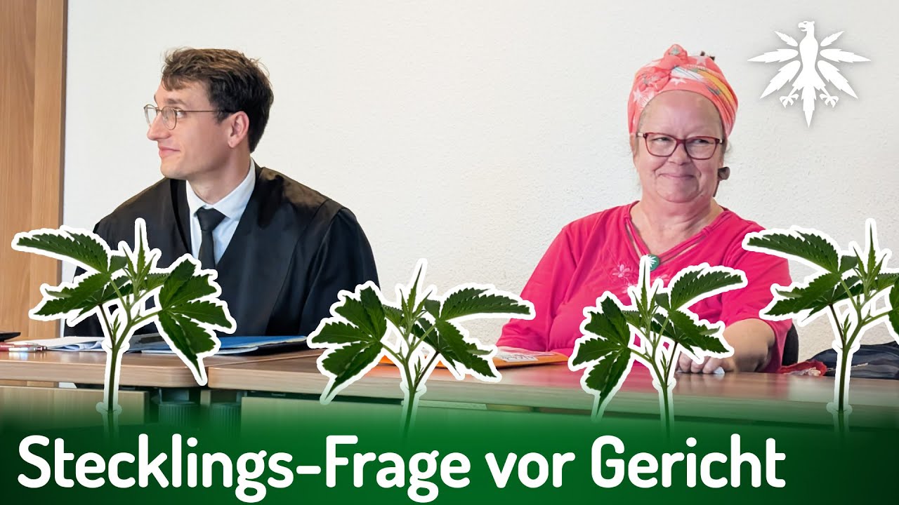 Stecklings-Frage vor Gericht – DHV-Ortsgruppe Halle verurteilt
