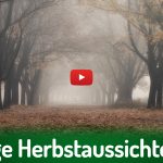 Deutscher Hanfverband News