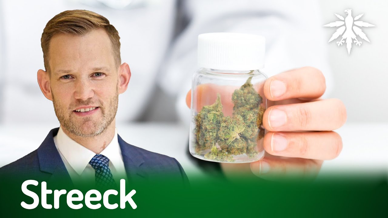 Streeck | DHV-News # 483