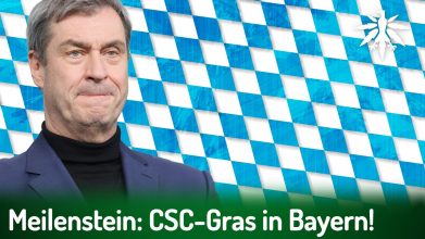 Meilenstein: CSC-Gras in Bayern! | DHV-News # 487
