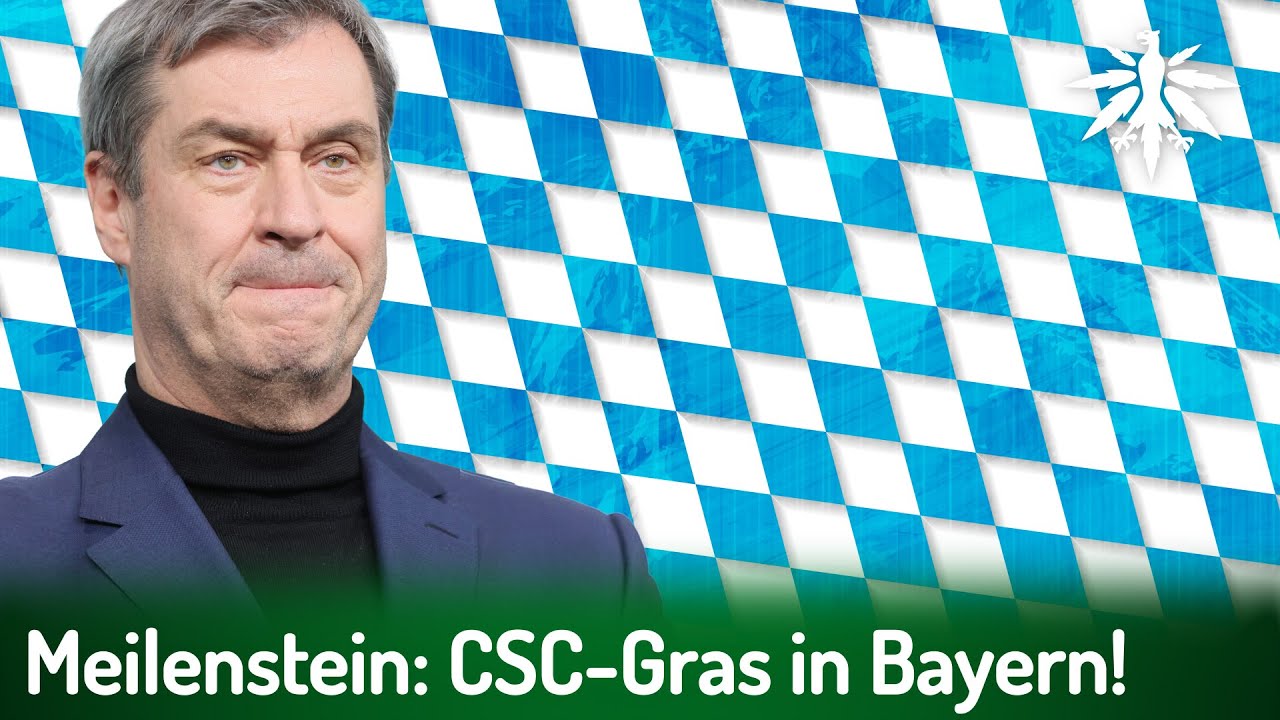 Meilenstein: CSC-Gras in Bayern! | DHV-News # 487