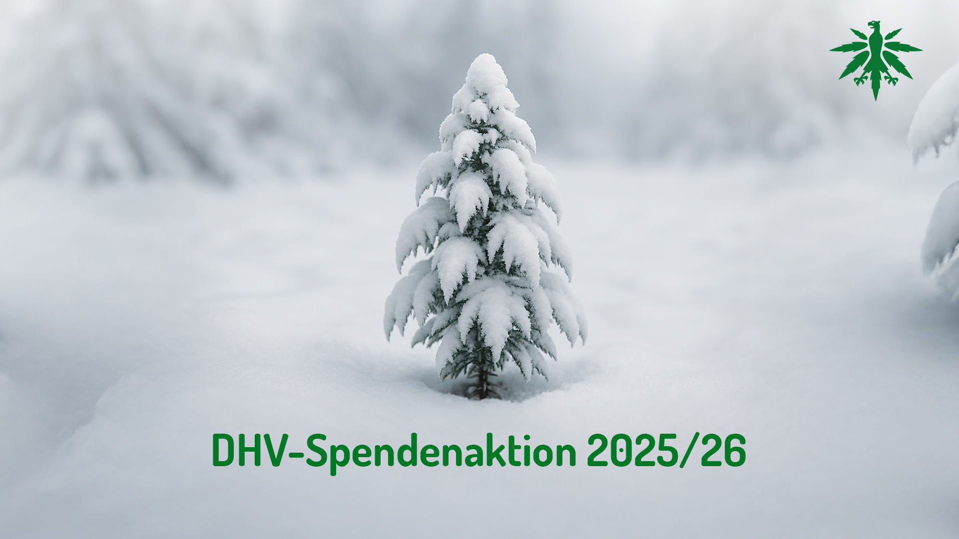 DHV-Spendenaktion 2025/26 gestartet
