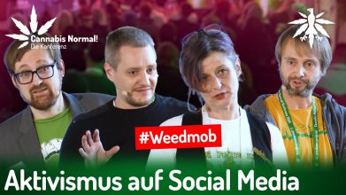 CaNoKo25: Cannabis-Aktivismus auf Social Media (Video)