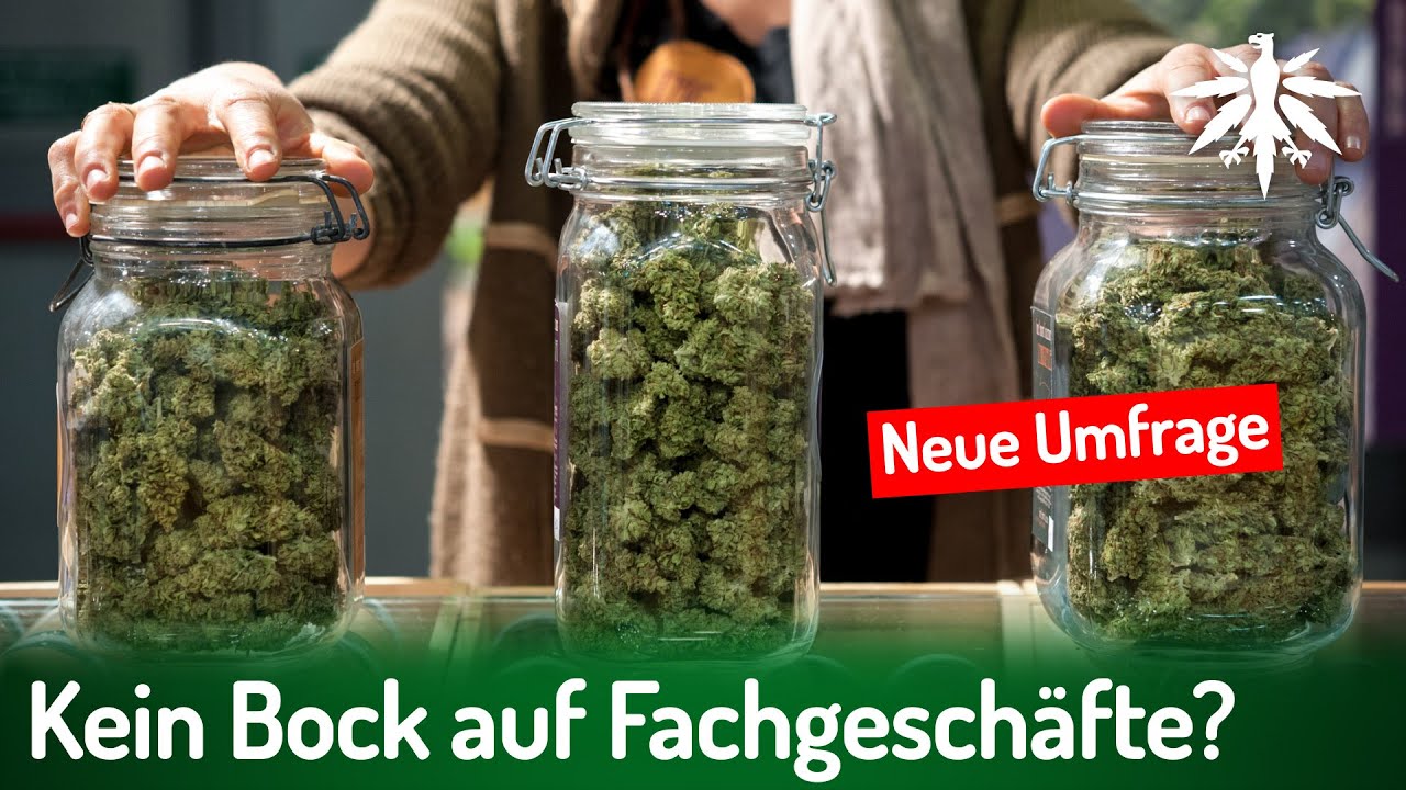 Kein Bock auf Fachgeschäfte? Neue Umfrage | DHV-News # 494