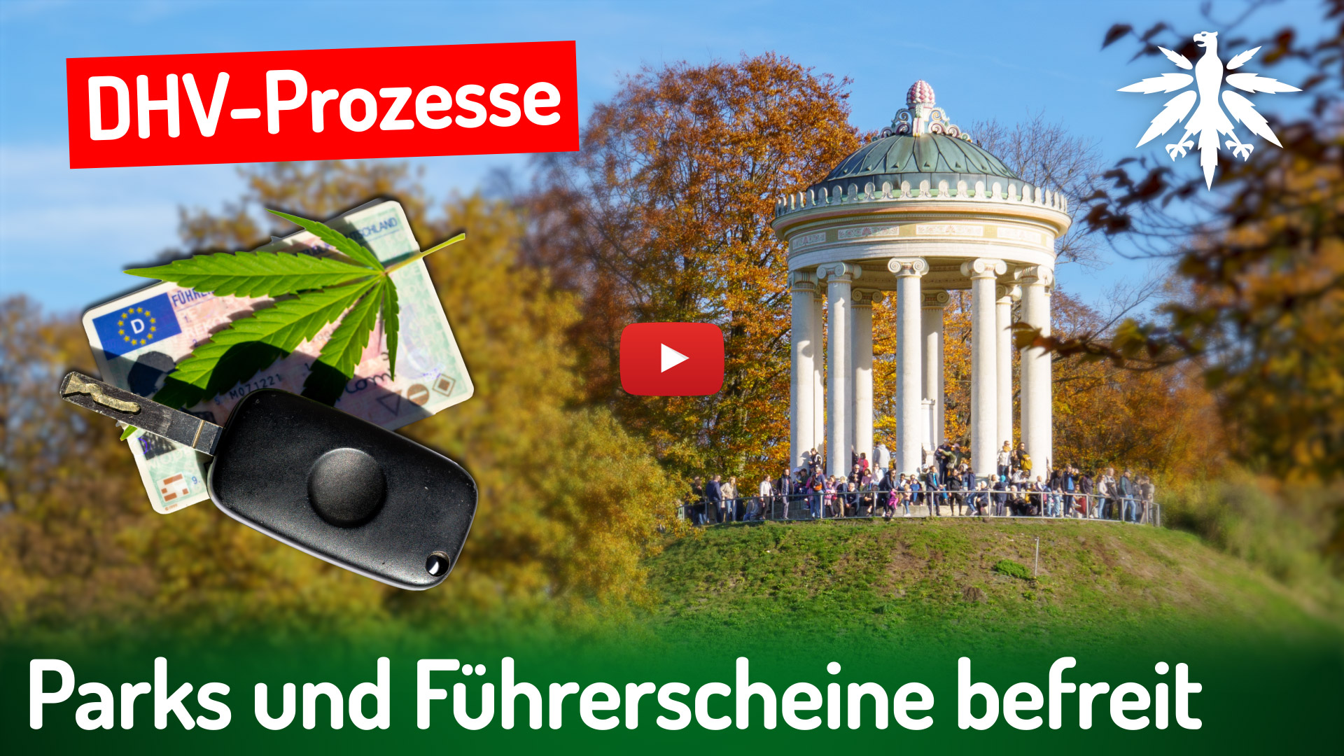 Deutscher Hanfverband News