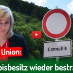 Deutscher Hanfverband News