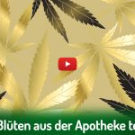 Deutscher Hanfverband News