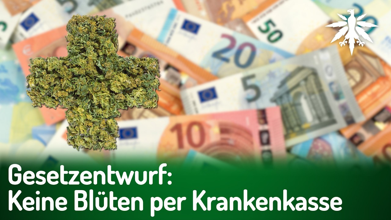 Gesetzentwurf: Keine Cannabisblüten per Krankenkasse | DHV-News # 506
