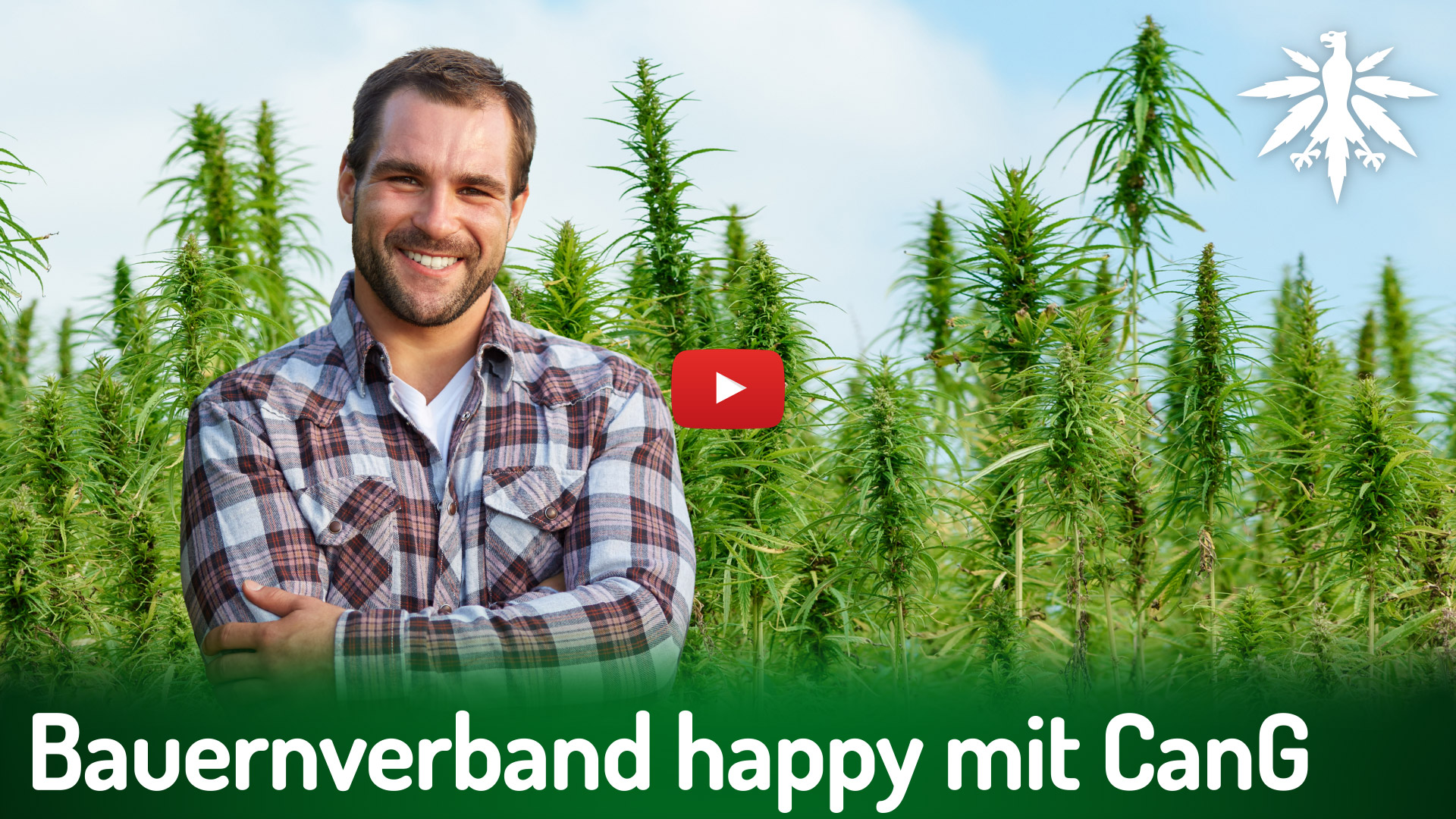 Bauernverband happy mit Cannabisreform | DHV-News # 505 episode artwork