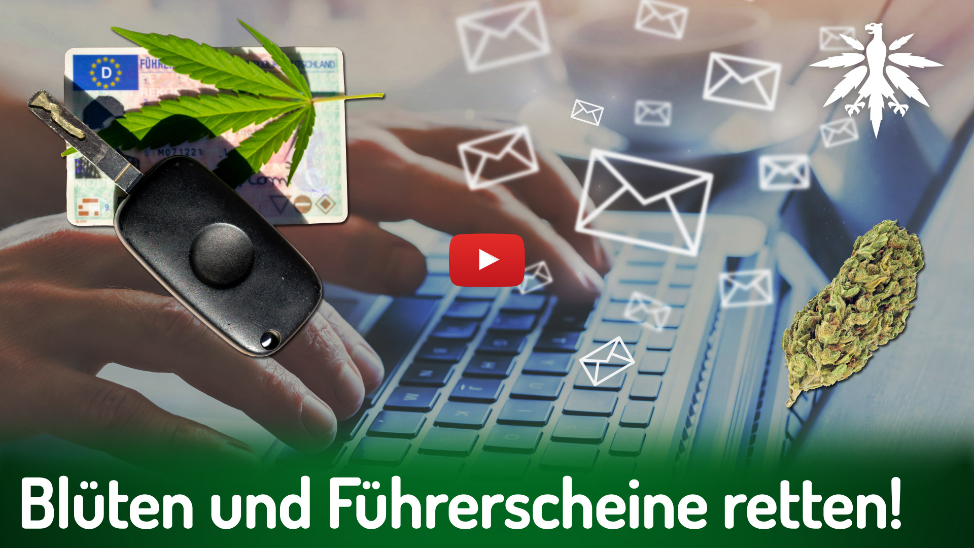 Blüten und Führerscheine retten! | DHV-News # 508 episode artwork