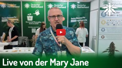 Live von der Mary Jane Berlin | DHV-News # 511