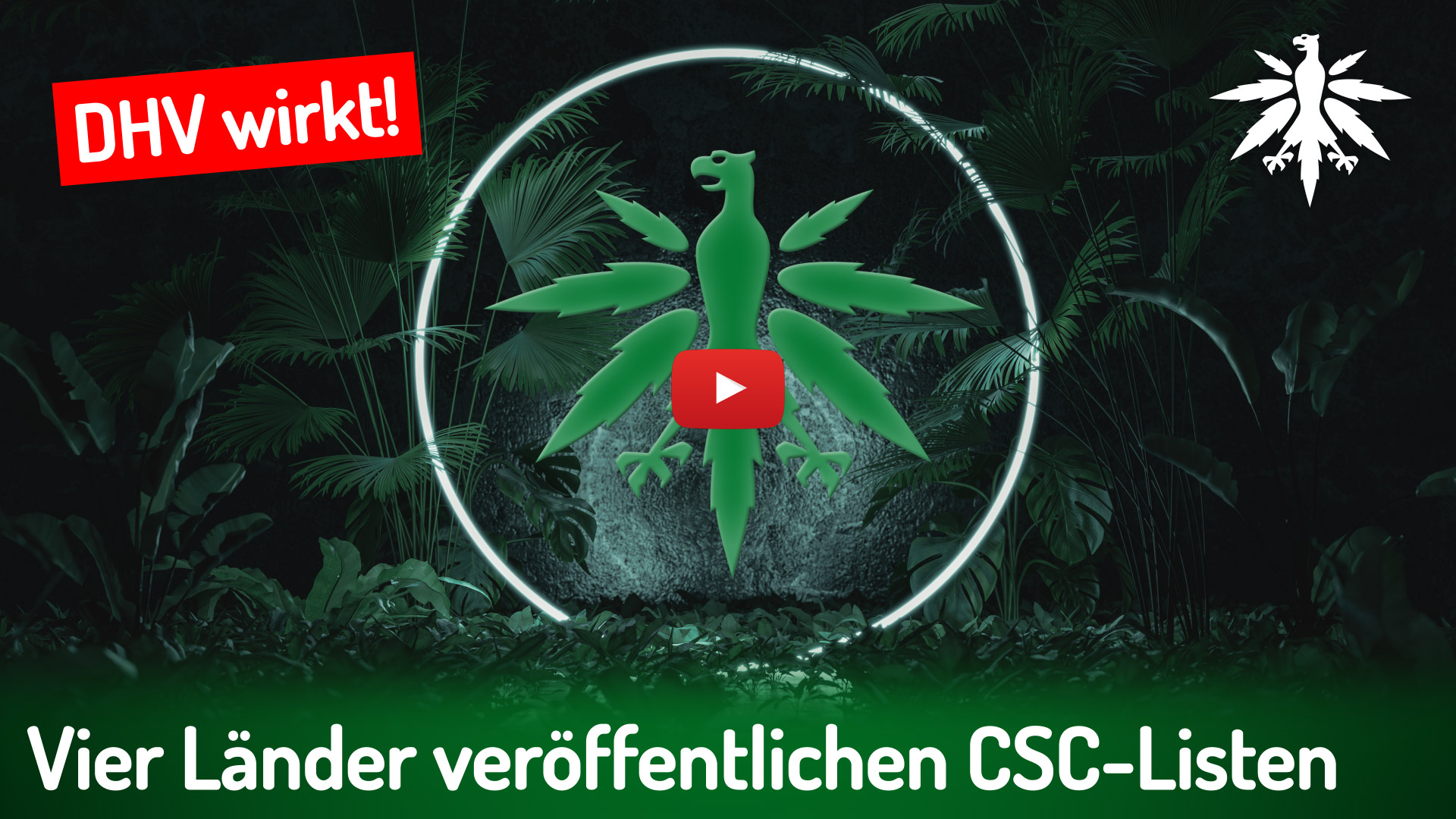 Vier Bundesländer veröffentlichen CSC-Listen | DHV-News # 512 episode artwork