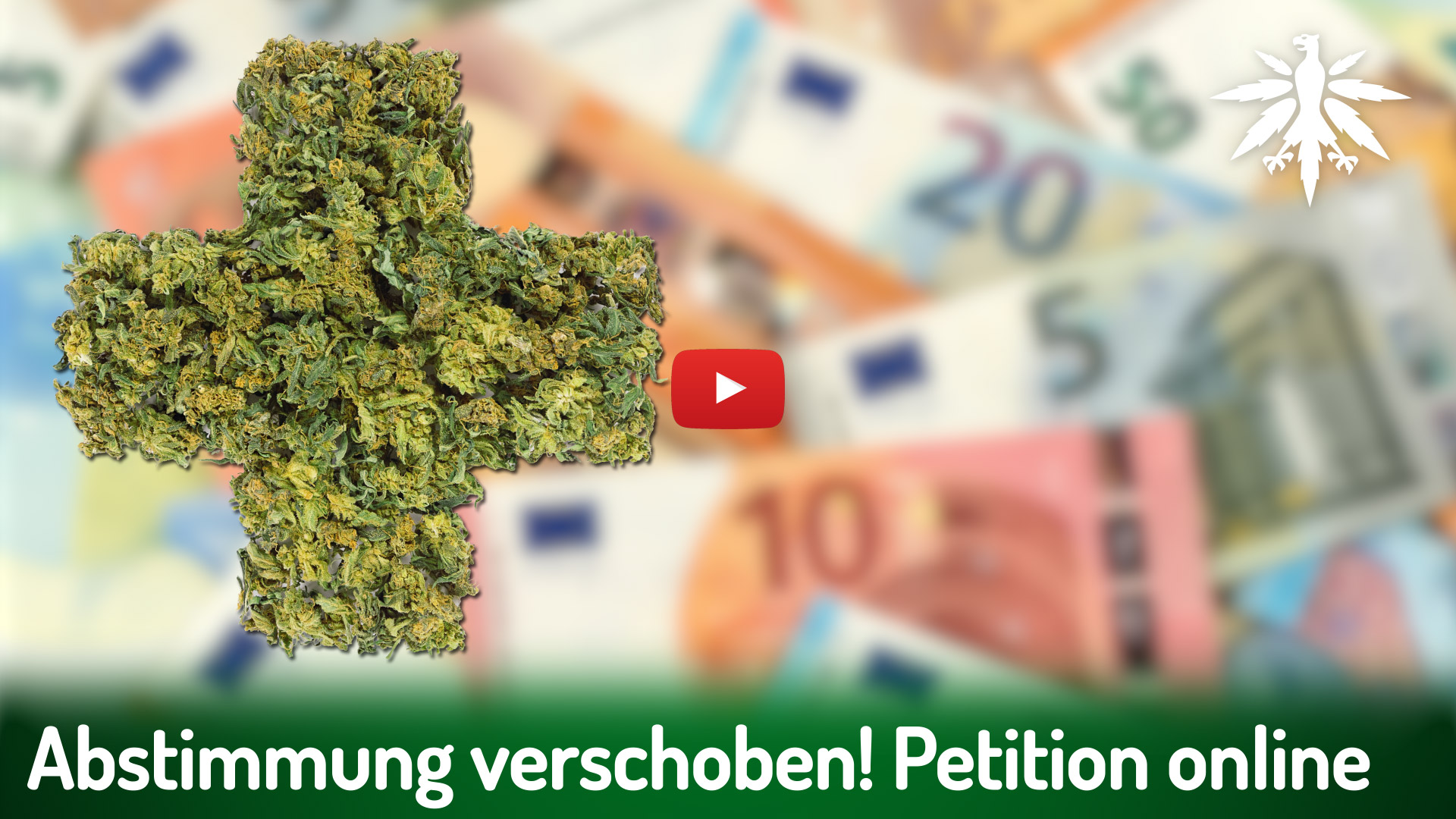 GKV & Blüten: Abstimmung verschoben, Petition online | DHV-News # 513 episode artwork