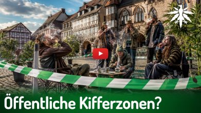Öffentliche Kifferzonen? | DHV-News # 514