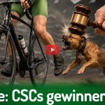 Deutscher Hanfverband News