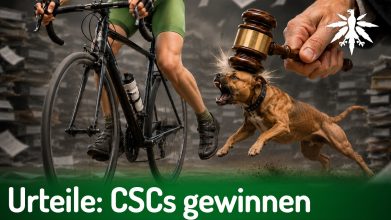 Urteile: CSCs gewinnen in BaWü & Thüringen | DHV-News # 518