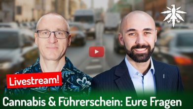 Cannabis & Führerschein: Eure Fragen zur MPU (Video)