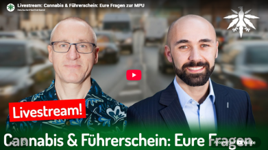 Cannabis & Führerschein: Eure Fragen zur MPU (Video)