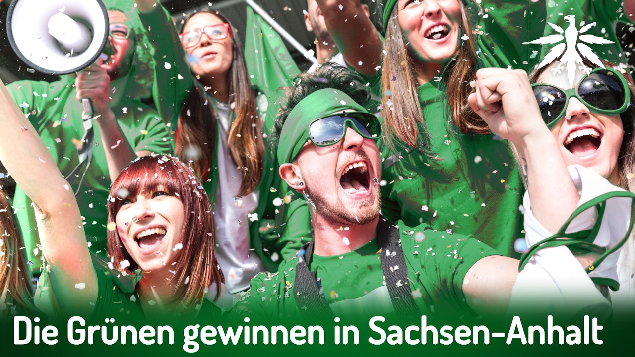 DHV-Wahlcheck: Die Grünen gewinnen in Sachsen-Anhalt | DHV-News # 520