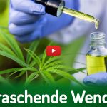 Deutscher Hanfverband News