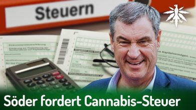 Söder fordert Cannabis-Steuer | DHV-News # 523