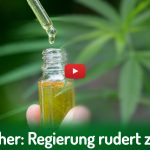 Deutscher Hanfverband News