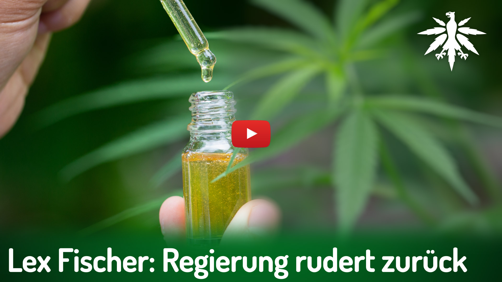 Lex Fischer: Regierung rudert zurück | DHV-News # 524