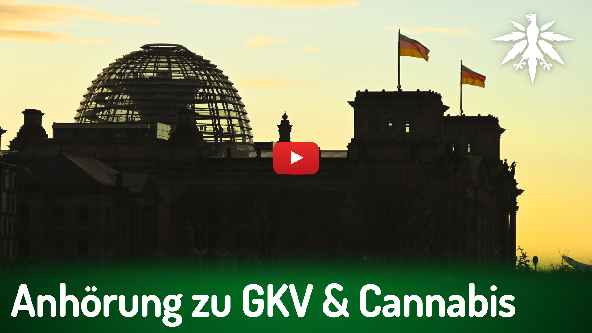 Anhörung zu GKV & Cannabis | DHV-News # 525